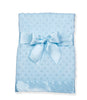 Blue Lovey Minky Blanket - Cozy Gift